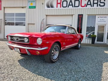Ford Mustang Cabrio *Leder*Elektr. Verdeck*