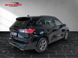 Ford Kuga ST-Line leichter Hagelschaden Sportpaket - Ford mit Benzin-Antrieb: Hagelschaden