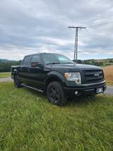 Ford F-150 XLT Pickup 5,0 Liter V8  - Ford F 150 mit Benzin-Antrieb: Automatik