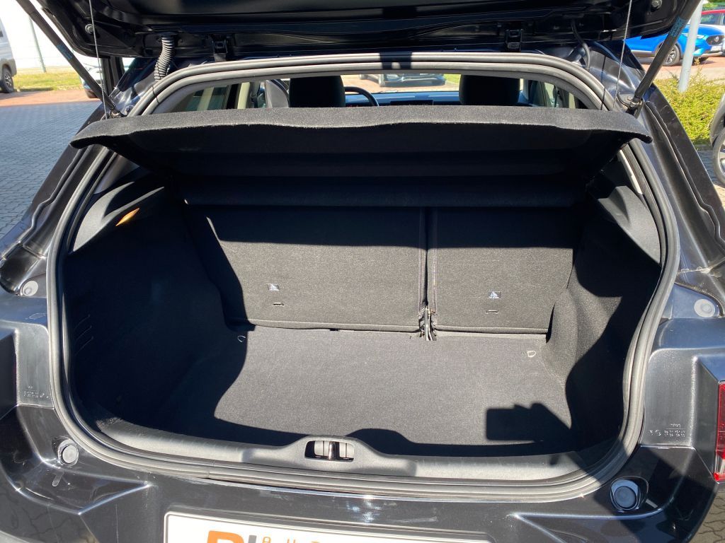 Fahrzeugabbildung Citroën C4 Cactus PureTech 110 S&S Shine *Sitzh. vorn*