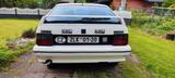 Citroën BX 1.9 TRI  - Citroën BX Gebrauchtwagen
