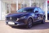 Mazda CX-30 2.0 M-Hybrid Selection 2WD LED Navi Kamera - blaue Mazda CX-30