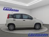 Fiat Panda Mild Hybrid 1.0 DAB Spurhalteass. Verkehrs - Fiat Panda aus 2025