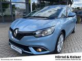 Renault Scenic Experience ENERGY TCe 115 NAVI+AHK+PDCv/h - Renault Scenic in Braunschweig