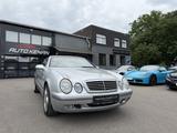 Mercedes-Benz CLK 320 Elegance AMG 17'Zoll/Navi/Leder/AHK/TOP - Mercedes-Benz CLK 320 aus 1999: Cabrio