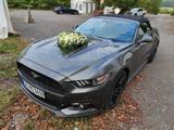 Ford Mustang 2.3 EcoBoost - - Ford Mustang in Stuttgart