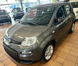 Fiat Panda Base - coole Ausstattung - Fiat Panda Gebrauchtwagen in Bremen