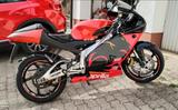 Aprilia RS 125 2Takt  A1 & A2  - APRILIA RENNSPORT