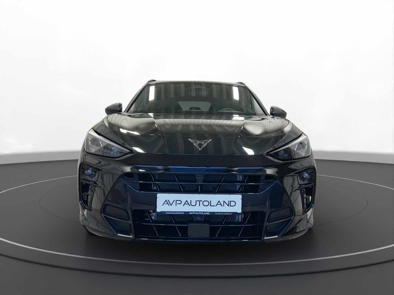 Cupra Terramar - Bild 3