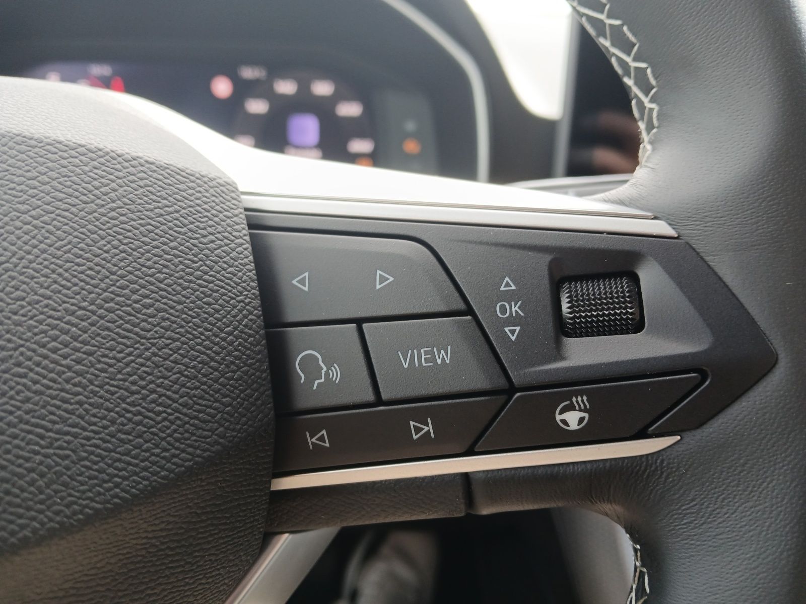 Fahrzeugabbildung SEAT Leon 1.5 eTSI Road Edition Kamera SH