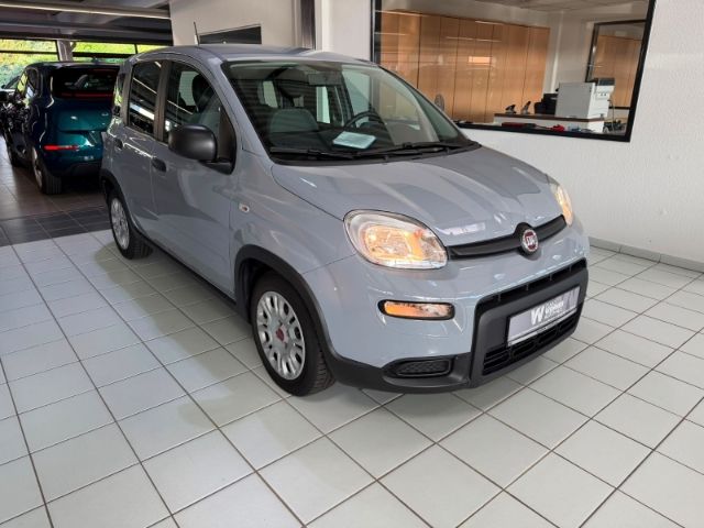 Fiat Panda — fotografia 3
