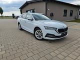 Skoda Octavia Combi First Edition - Skoda Octavia aus 2021