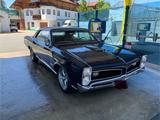 Pontiac GTO - Pontiac GTO Gebrauchtwagen