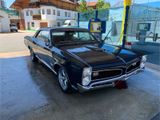 Pontiac GTO - Pontiac GTO: Coupé
