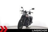 Moto Guzzi V7 III STONE - Packtaschen, Gepäckträger - MOTO GUZZI V7 II STONE