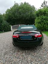 Jaguar XK 4.2L V8 Cabriolet - - Jaguar: 4.2