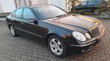 Mercedes-Benz E220 CDI Limusine/Automatik-Xenon-Avangarde-2.Hd - gebrauchte Mercedes-Benz E 220 aus dem Jahr 2005