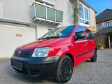 Fiat Panda 1.1 8V Active *5-Trg* - Fiat Panda aus 2010