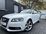 Audi A3 Cabriolet 2.0TDI S-LINE RADIO KLIMA SITZH PDC - Audi A3 aus 2010: TDI