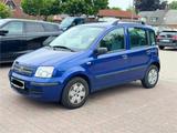 Fiat panda  benziner sehr sparsam mit tüv - Fiat Panda in Lübeck