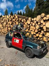 Fiat Panda - gebrauchte Fiat Panda aus dem Jahr 1995