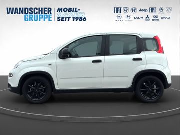 Fiat Panda 1.0 MHEV Basis KLIMA RADIO eFH ALU AWR