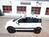 Fiat Panda 1.2 8V Climbing 4X4, sehr gepflegt - Fiat Panda: Pickup