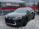 Lexus UX 250 h Style Edition sparsamer Crossover - : Geländewagen, Sparsame