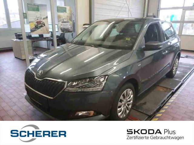 Skoda Fabia 1.0 TSI Drive 125 Navi, Pano, ACC, PDC, LE