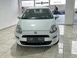 Fiat Punto Pop 1.4 8V Berganfahrass. Klima el.SP Spie - Fiat Punto in Leverkusen