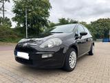 Fiat Punto EVO 4 Türer TÜV, Zahnriehmen, Inspektion - Fiat Punto in Köln