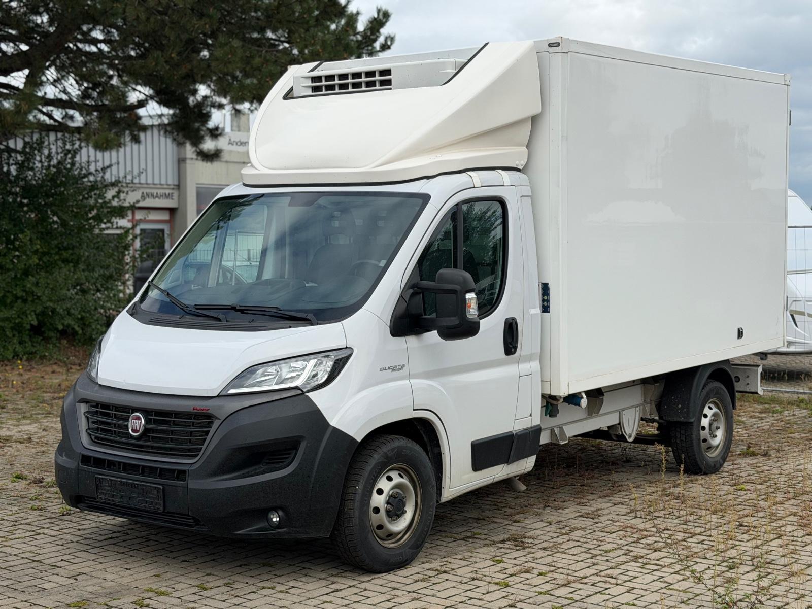 Fiat Ducato Kühlkoffer V-500MAX MOTORSCHADEN