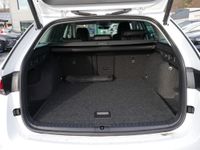 Skoda Octavia - Vorschau Bild 21