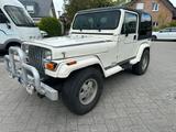 Jeep Wrangler Top Zustand 4.2L EZ87 H-Kenn... - Jeep Wrangler Gebrauchtwagen in Bonn