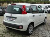 Fiat Panda EASY 1.2 8V 69PS KLIMA RADIO  ALLWETTER - Fiat Panda: Easy