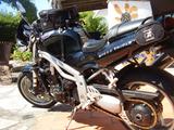 Triumph Speed Triple 955 i  T 509 - TRIUMPH 2000