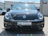 Volkswagen Beetle Cabriolet Allstar *Bi-Xenon*Leder*Kamera - Volkswagen Beetle ALLSTAR mit Benzin-Antrieb