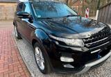 Andere Range Rover Evoque Dynamic 2.2 TD4 SHZ Len... - Andere