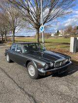 Jaguar Daimler Double Six Serie 3 beide Tanks neu - Jaguar Daimler: Double Six