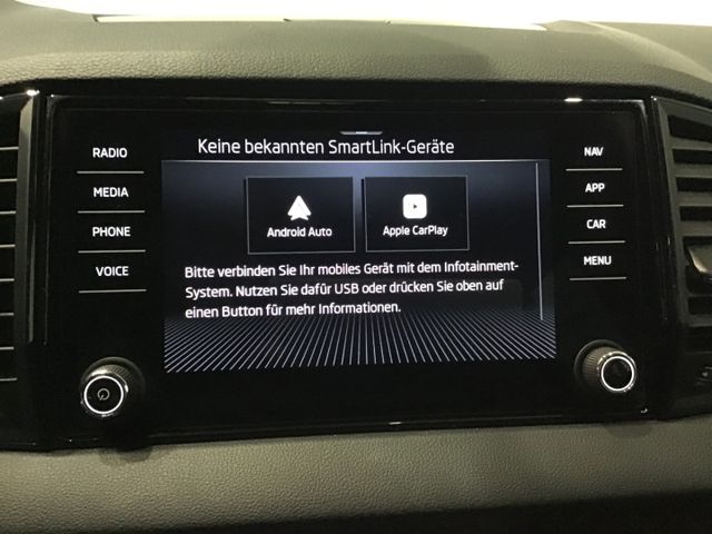 Fahrzeugabbildung Skoda Karoq Selection 1.5TSI DSG/Tempo/SHZ/LED/Kamera