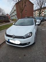 Volkswagen Golf 1.4 TSI 90 kW CUP Cabriolet CUP - Volkswagen Golf: 9