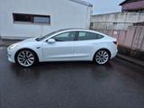 Tesla Model 3 Performance - Allradantrieb mit Dual... - Tesla Model 3: Performance