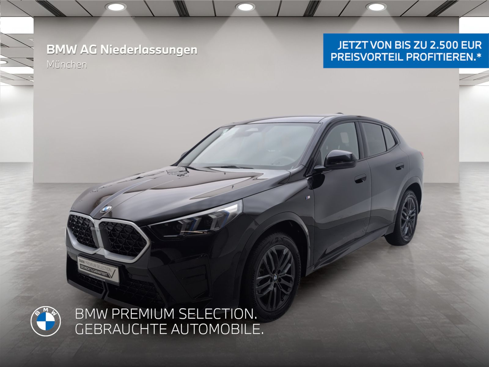 BMW X2 xDrive20d M Sport AHK Driv.Assist Harman K foto 1