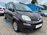 Fiat Panda Lounge - Fiat Panda: Lounge