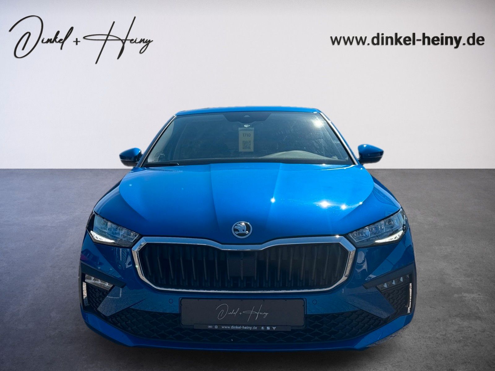 Fahrzeugabbildung SKODA Scala Selection 1.0 TSI