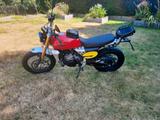 Fantic Caballero 500 Scrambler - FANTIC MOTORRAD