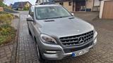 Mercedes-Benz 250 - Mercedes-Benz 250 Gebrauchtwagen