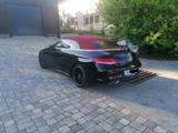 Mercedes-Benz C 250 AMG Line, Night Edition - Mercedes-Benz C 250: Cabrio