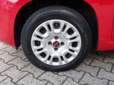 Fiat PANDA 1.2 8V EASY WENIG KILOMETER - SCHECKHEFT  - Fiat Panda in Chemnitz