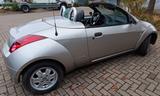 Ford FORD STREET KA CABRIO / EZ 6/2003 GEBRAUCHT - gebrauchte Ford Streetka aus dem Jahr 2003